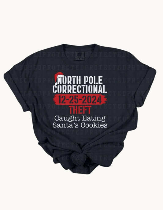 North Pole Correctional